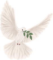 Dove of peace